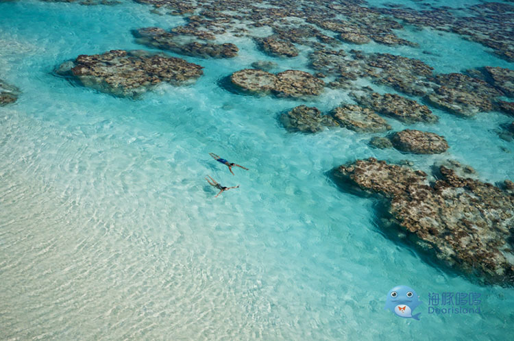 大溪地浮潜