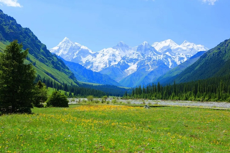 【伊昭公路】花海伊犁浣天山 8天7晚